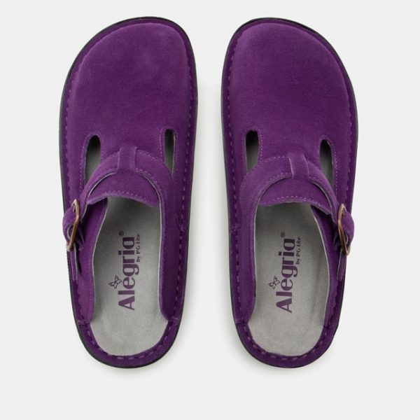 Clearance Alegria Classic Deep Amethyst - Image 4